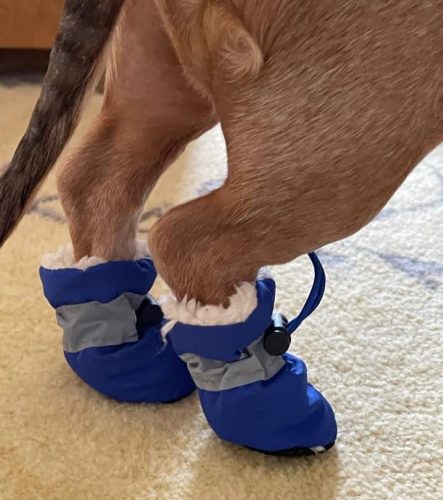 Bootees
