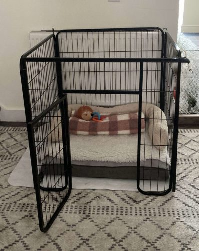 Recovery Pen
