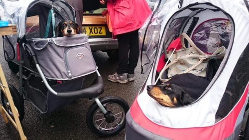 Strollers